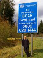 bear langholm scotland april 2008 avril copyright free photo royalty free photo