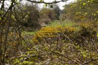 view south along track bed solway junction railway april 2008 avril copyright free photo royalty free photo