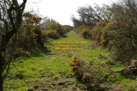track bed solway junction railway cumbria april 2008 avril copyright free photo royalty free photo