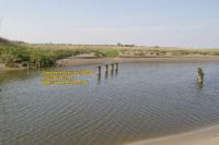 stumps of columns of brunlees Wampool viaduct solway junction railway cumbria april 2008 avril copyright free photo royalty free photo