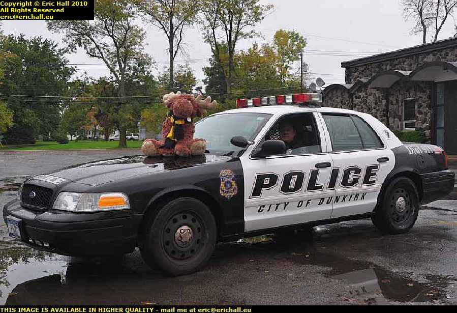 strawberry moose new york police usa