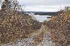 track down to river gagnon trans labrador highway baie comeau quebec labrador city canada october octobre 2010