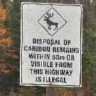 humorous sign caribou trans labrador highway 500 canada october octobre 2010