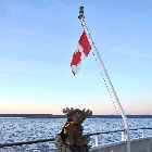strawberry moose newfoundland ferry st barbe blanc sablon quebec labrador coastal drive highway 510 l'anse au loup canada october octobre 2010