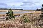 salt flats head of jeddore nova scotia canada october octobre 2010