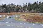 abandoned railway track bed seaforth lawrencetown nova scotia coast canada october octobre 2010