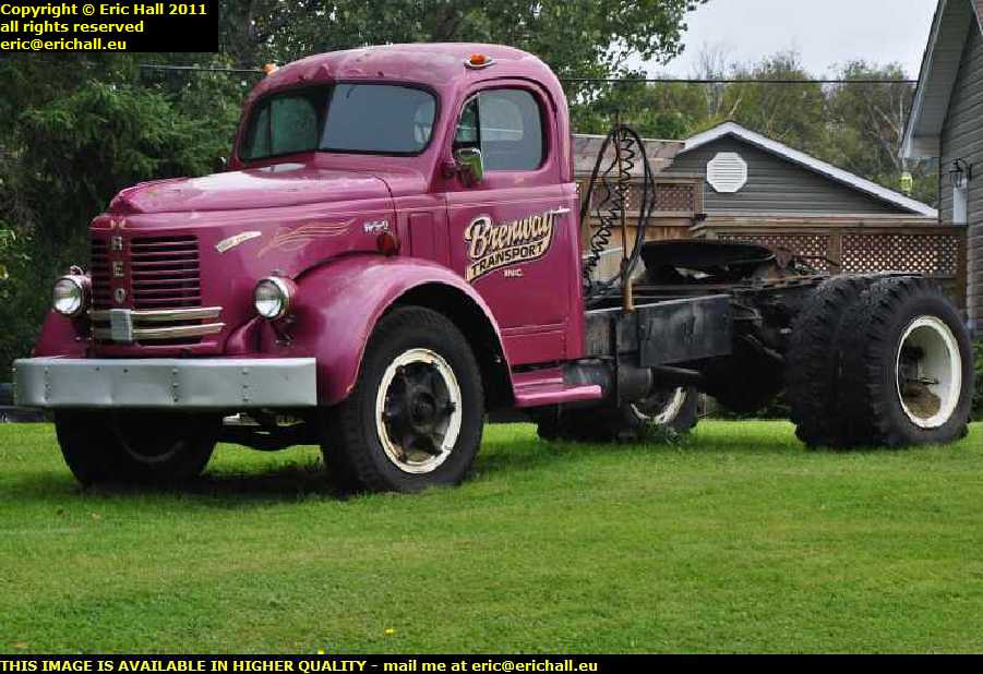 reo speedwagon gold comet fredericton new brunswick canada