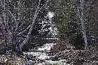 chutes riviere des goudronniers waterfall chemin de la pointe baie st paul charlevoix quebec canada avril april 2012