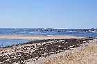 remains arboriduc port cartier gulf st lawrence river north shore quebec canada mai may 2012