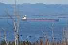 bay sept iles gulf st lawrence river north shore quebec canada mai may 2012
