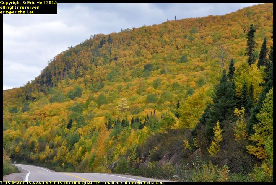 beautiful autumn scenery trans labrador highway canada
