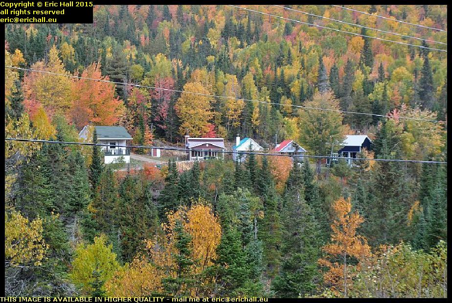 autumn colours cabin in forest gaspe peninsula highway 132 quebec canada