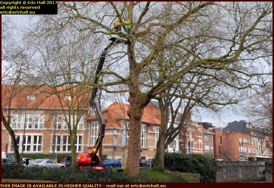 workmen in tree leuven belgium february fevrier 2017