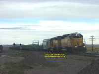 Wyoming Medicine Bow - train at level crossing
