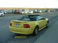 more Mustang