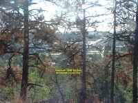 Flagstaff Arizona view from Lovells Observatory