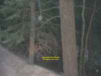 Mountain Pass Clear Creek Rio Cebolla New Mexico