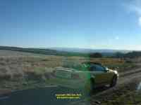 Mustang at the top of the Canjilon Mountains New Mexico