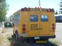 American school bus - the type I would like to own - rear view