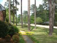 View from Gretchen's home