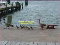 Ockracoke Island Outer Banks North Carolina USA a small family outing