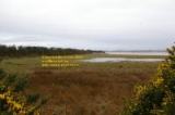view west down the solway firth south bank solway junction railway mars march 2008 copyright free photo royalty free photo