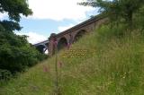 waterside viaduct river lune midland railway ingleton branch juillet july 2008 copyright free photo royalty free photo