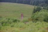 ruins with chimney remaining riccarton junction roxburgh roxburghshire scottish borders scotland juillet july 2008 copyright free photo royalty free photo