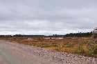 wide expanse peat string bog labrador coastal drive highway 510 happy valley goose bay l'anse au loup forteau canada october octobre 2010