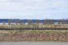 railway line portneuf flood plain st lawrence pointe au platon quebec canada avril april 2012