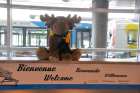 strawberry moose welcome desk dorval airport pierre trudeau montreal quebec canada august 2013
