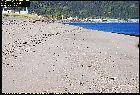 sandy beach godbout st lawrence river north shore cote nord quebec canada september septembre 2016