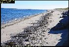 sandy beach godbout st lawrence river north shore cote nord quebec canada september septembre 2016