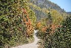 franquelin highway 138 st lawrence river north shore quebec canada october octobre 2016