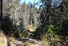 path in woods river franquelin quebec canada october octobre 2016