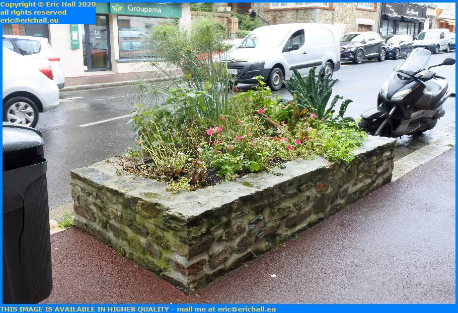 Flower Bed Rue Couraye Granville Manche Normandy France Eric Hall