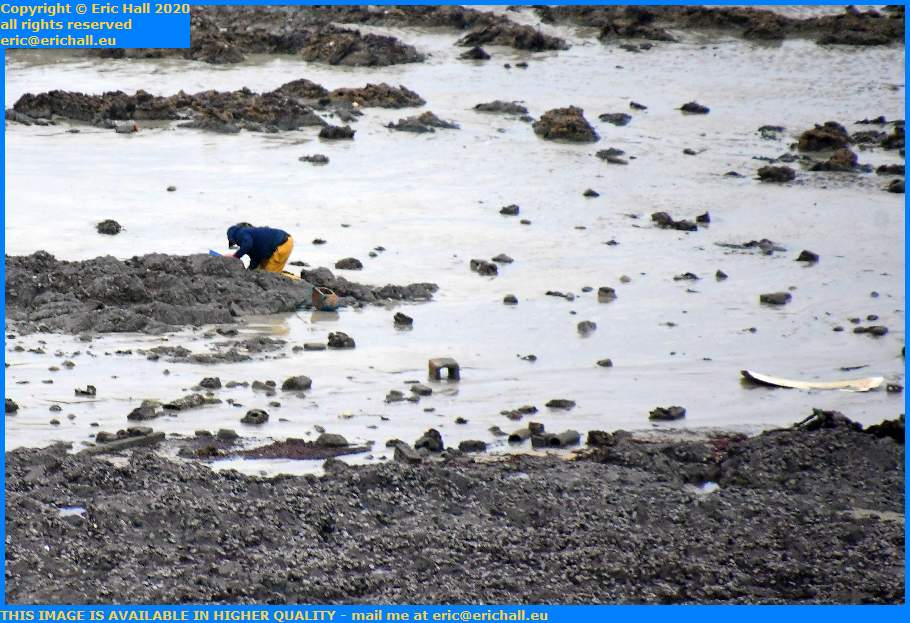 marine debris peche a pied Granville Manche Normandy France Eric Hall