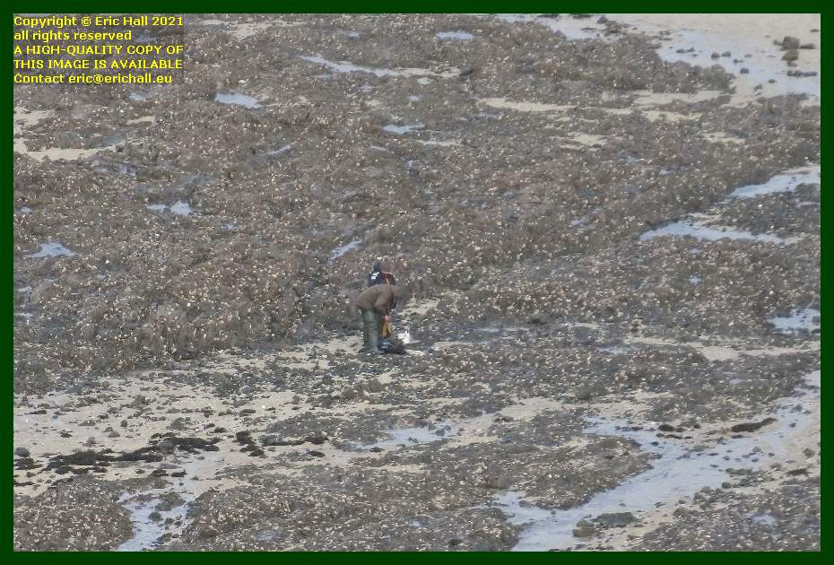 peche a pied beach rue du nord Granville Manche Normandy France Eric Hall