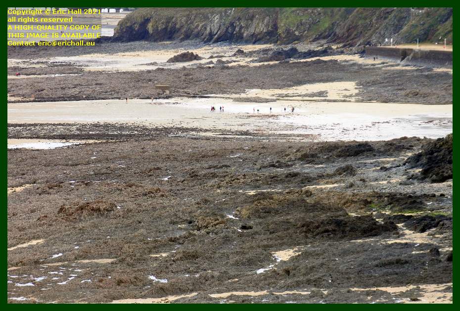 people on beach plat gousset Granville Manche Normandy France Eric Hall