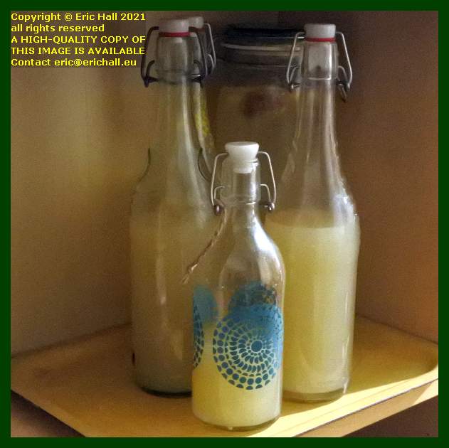 home made ginger beer place d'armes Granville Manche Normandy France Eric Hall