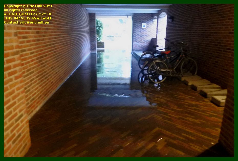 flooded out condo gardens Leuven Belgium Eric Hall