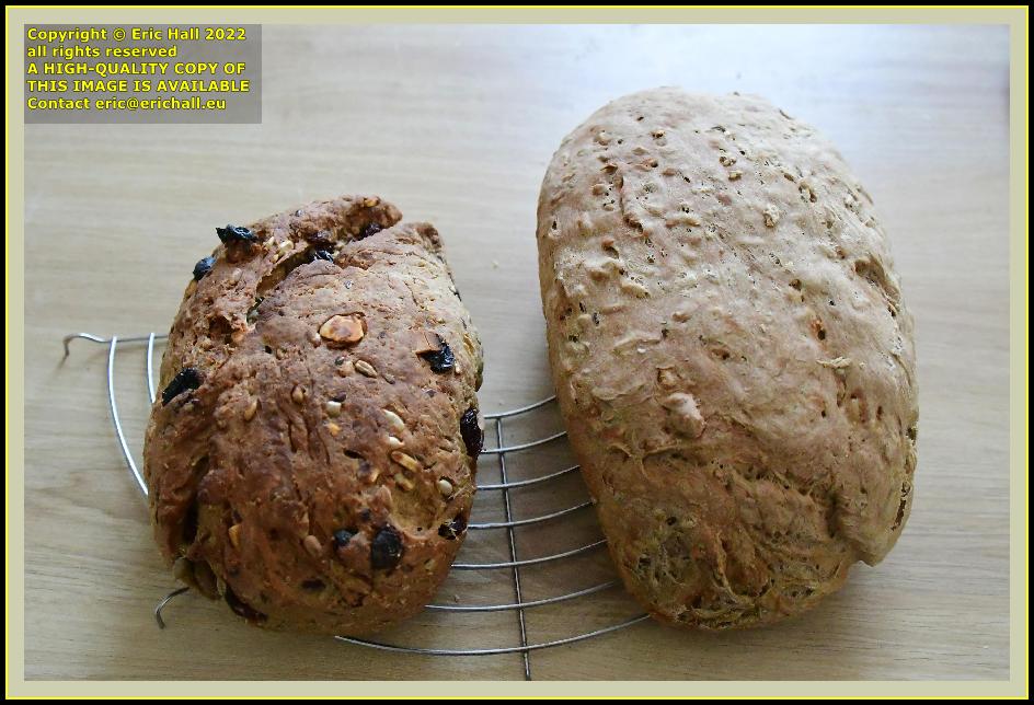 fruit bread home made bread place d'armes Granville Manche Normandy France photo Eric Hall march 2022