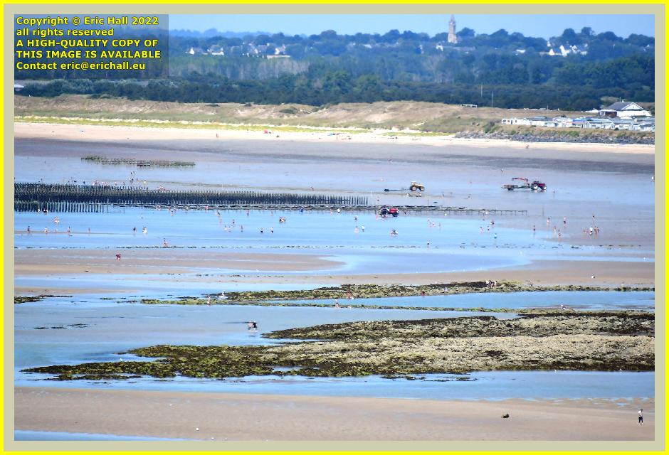 people on beach shellfish harvesting donville les bains Granville Manche Normandy France Eric Hall photo July 2022
