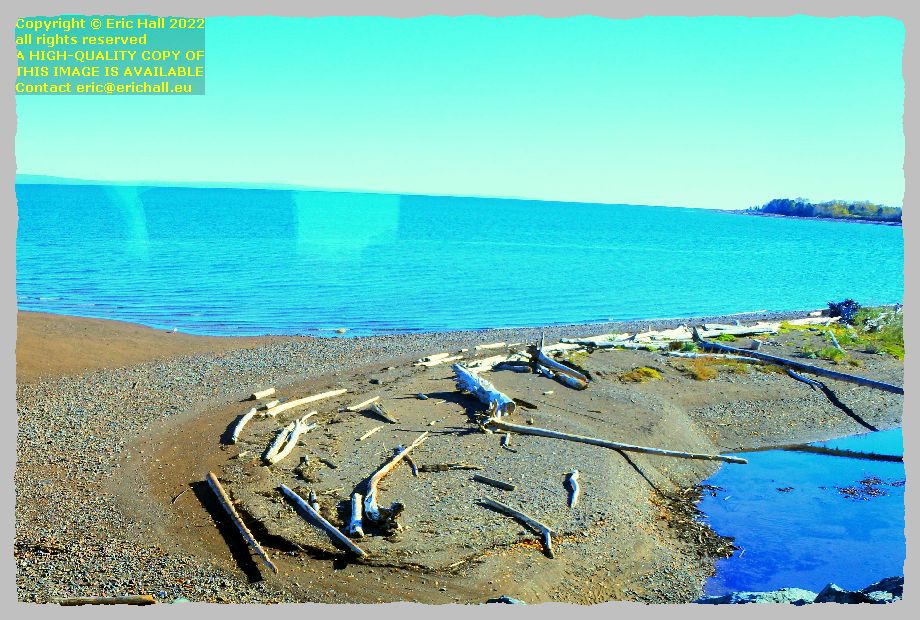 driftwood baie des chaleurs Canada Eric Hall photo October 2022