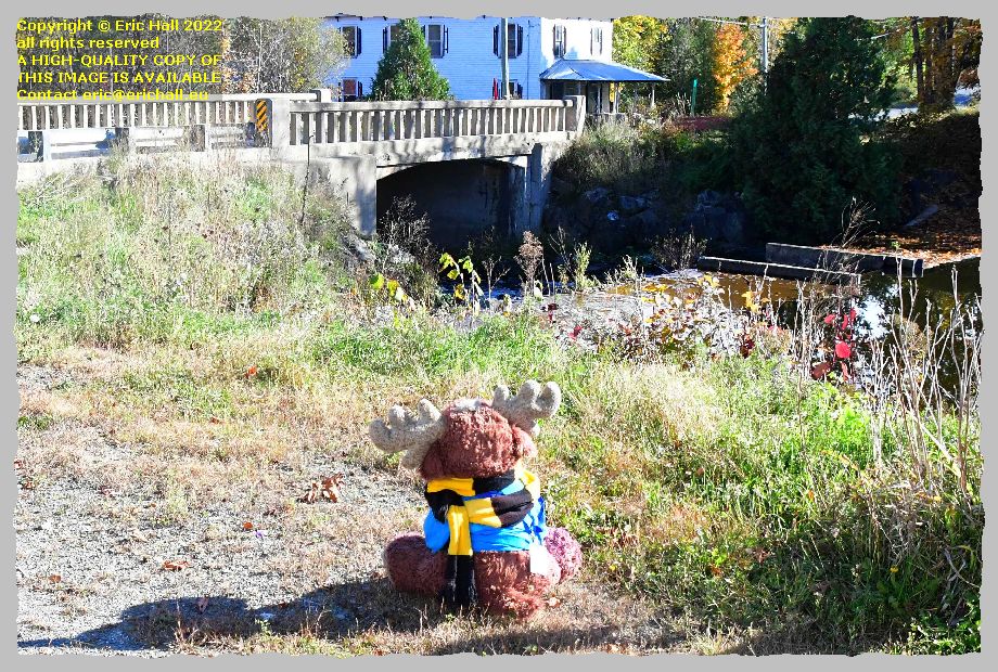 strawberry moose river lakeville new brunswick Canada Eric Hall photo 5th October 2022