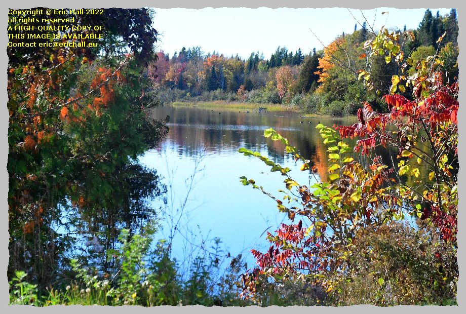 williamstown lake lakeville new brunswick Canada Eric Hall photo 5th October 2022