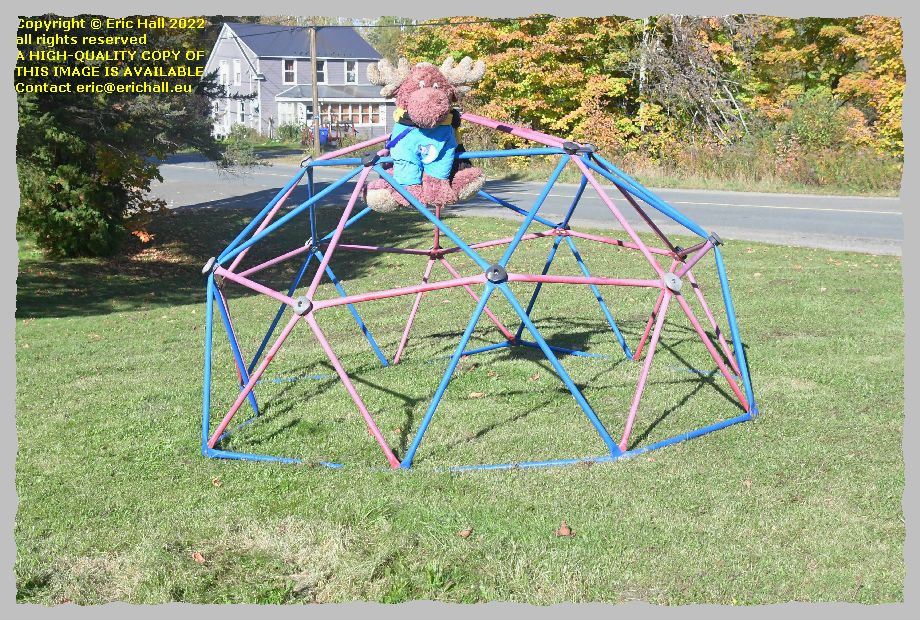 strawberry moose geodesic framework lakeville new brunswick canada Eric Hall photo 6th October 2022