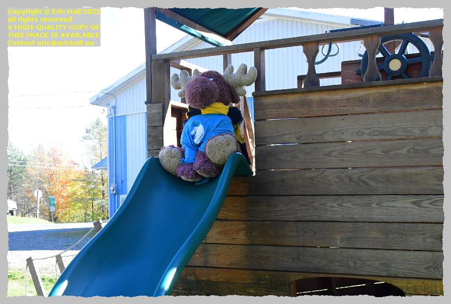 strawberry moose kiddy's slide lakeville new brunswick Canada Eric Hall photo 5th October 2022