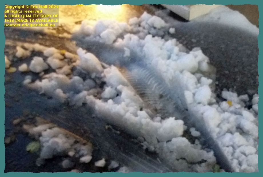 snow hospital avranches Manche Normandy France Eric Hall photo 21st November 2024