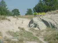 Trail Ruts